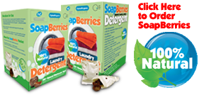 Soapberries